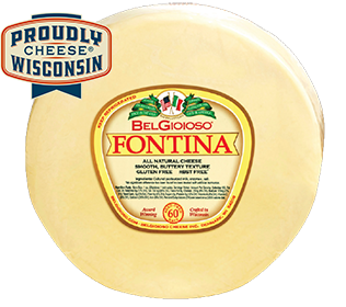 fontina3 image FONTINA
